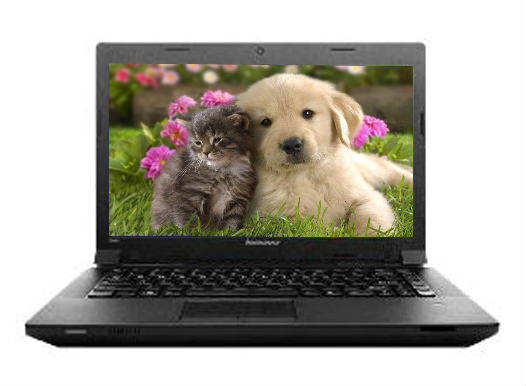 Lenovo essential B490 (59-349113) Laptop (Core i3 3rd Gen/2 GB/500 GB/DOS)