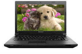 Lenovo essential B490 (59-349113) Laptop (Core i3 3rd Gen/2 GB/500 GB/DOS)
