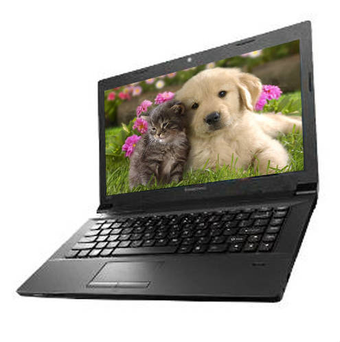 Lenovo essential B490 (59-349113) Laptop (Core i3 3rd Gen/2 GB/500 GB/DOS)