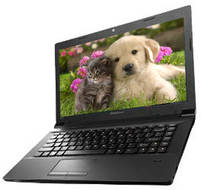 Lenovo essential B490 (59-349113) Laptop (Core i3 3rd Gen/2 GB/500 GB/DOS)
