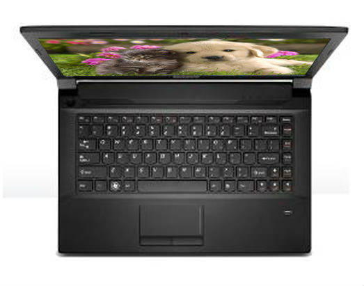 Lenovo essential B490 (59-349113) Laptop (Core i3 3rd Gen/2 GB/500 GB/DOS)