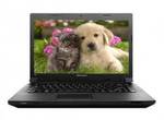 Lenovo essential B490 (59-349113) Laptop (Core i3 3rd Gen/2 GB/500 GB/DOS)