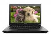 Lenovo B490 (59-349113)