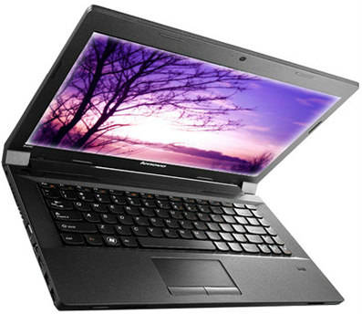 Lenovo essential B490 (59-356128) Laptop (Pentium 2nd Gen/2 GB/500 GB/DOS)