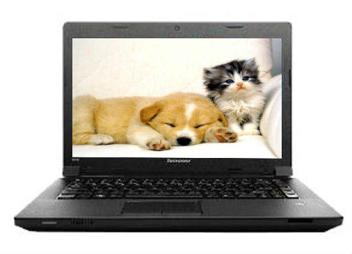 Lenovo essential B490 (59-364694) Laptop (Core i3 2nd Gen/4 GB/500 GB/DOS)