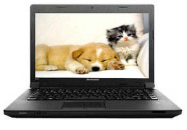 Lenovo essential B490 (59-364694) Laptop (Core i3 2nd Gen/4 GB/500 GB/DOS)