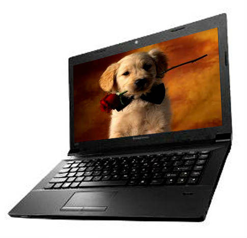 Lenovo essential B490 (59-364701) Laptop (Pentium Dual Core 2nd Gen/4 GB/500 GB/DOS)
