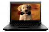 Lenovo essential B490 (59-364701) Laptop (Pentium Dual Core 2nd Gen/4 GB/500 GB/DOS)