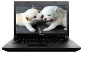 Lenovo essential B490 (59-369345) Laptop (Pentium Dual Core 2nd Gen/2 GB/500 GB/DOS)