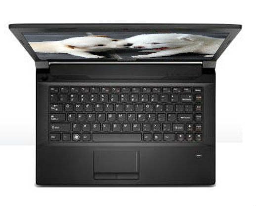 Lenovo essential B490 (59-369345) Laptop (Pentium Dual Core 2nd Gen/2 GB/500 GB/DOS)