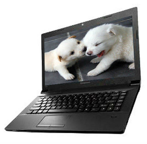 Lenovo essential B490 (59-369345) Laptop (Pentium Dual Core 2nd Gen/2 GB/500 GB/DOS)