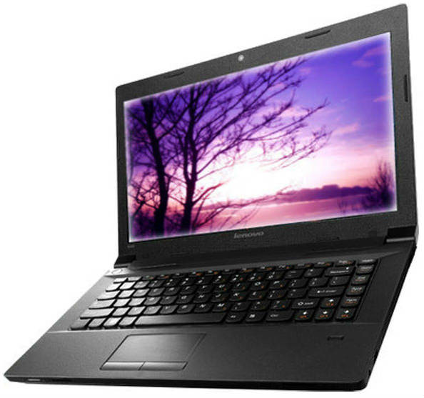 Lenovo essential B490 (59-381813) Laptop (Core i3 3rd Gen/4 GB/500 GB/DOS)