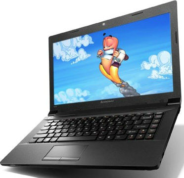 Lenovo Ideapad B490 (59-382575) Laptop (Pentium 3rd Gen/2 GB/500 GB/DOS) Price