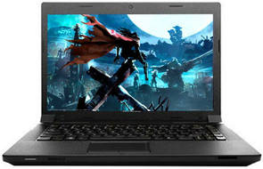 Lenovo Ideapad B490 (59-349872) Laptop (Core i3 2nd Gen/2 GB/500 GB/DOS)