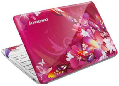Lenovo Ideapad S10-3 (59-043055) Netbook (Atom 1st Gen/2 GB/250 GB