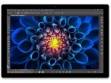 Microsoft Surface Pro 4 (FFU-00001)