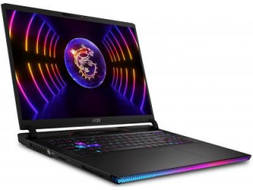 MSI Raider GE78 HX 13VH-089IN Laptop (Core i7 13th Gen/32 GB/2 TB SSD/Windows 11/12 GB)