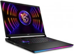 MSI Raider GE78 HX 13VI-087IN Laptop (Core i9 13th Gen/64 GB/2 TB SSD/Windows 11/16 GB)