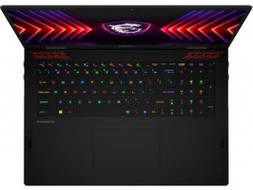 MSI Raider 18 HX A14VHG-254IN Laptop (Core i9 14th Gen/32 GB/2 TB SSD/Windows 11/12 GB)