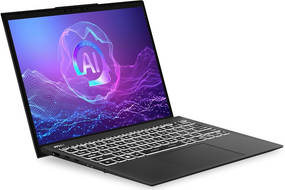 MSI Prestige 13 AI Plus Evo A2VMG-022IN Laptop (Core Ultra 9/32 GB/1 TB SSD/Windows 11)