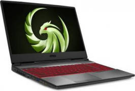 MSI Alpha 15 A3DD-044IN Laptop (AMD Quad Core Ryzen 7/16 GB/1 TB 256 GB SSD/Windows 10/4 GB)
