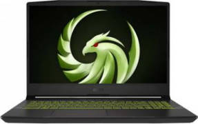 MSI Alpha 15 B5EEK-029IN Laptop (AMD Octa Core Ryzen 7/16 GB/1 TB SSD/Windows 10/8 GB) Laptop