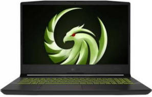 MSI Alpha 15 B5EEK-029IN Laptop (AMD Octa Core Ryzen 7/16 GB/1 TB SSD/Windows 10/8 GB)