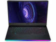 MSI GE66 Raider 10SFS-443IN
