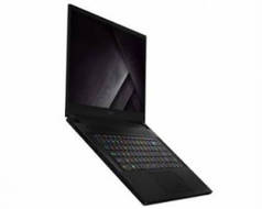 MSI GS66 Stealth 10SD-497IN Laptop (Core i7 10th Gen/16 GB/512 GB SSD/Windows 10/6 GB)