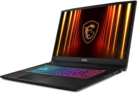 MSI Katana 17 HX B14WGK-085IN Laptop (Core i9 14th Gen/16 GB/1 TB SSD/Windows 11/8 GB)
