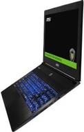 MSI MSI WS60 2OJ Laptop (Core i7 4th Gen/8 GB/1 TB 256 GB SSD/Windows 7/2 GB)