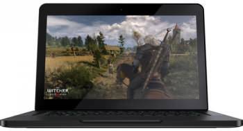 Razer RZ09-01302E22-R3U1 Laptop (Core i7 4th Gen/16 GB/512 GB SSD/Windows 10/3 GB)
