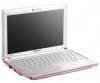 Samsung NP-N102S-B05IN