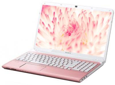 Sony VAIO E11125CN Netbook (APU Dual Core/2 GB/320 GB/Windows 8)