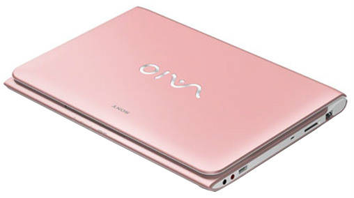 Sony VAIO E11125CN Netbook (APU Dual Core/2 GB/320 GB/Windows 8)