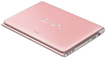 Sony VAIO E11125CN Netbook (APU Dual Core/2 GB/320 GB/Windows 8) Laptop