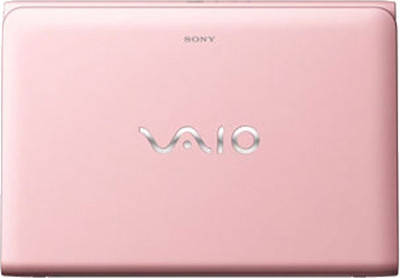 Sony VAIO E11125CN Netbook (APU Dual Core/2 GB/320 GB/Windows 8)