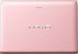 Sony VAIO E11125CN Netbook (APU Dual Core/2 GB/320 GB/Windows 8) Laptop