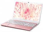 Sony VAIO E11125CN Netbook (APU Dual Core/2 GB/320 GB/Windows 8) Laptop