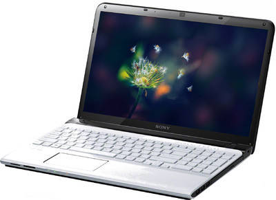 Sony VAIO E14127CN Laptop (Core i5 3rd Gen/4 GB/750 GB/Windows 8/1)
