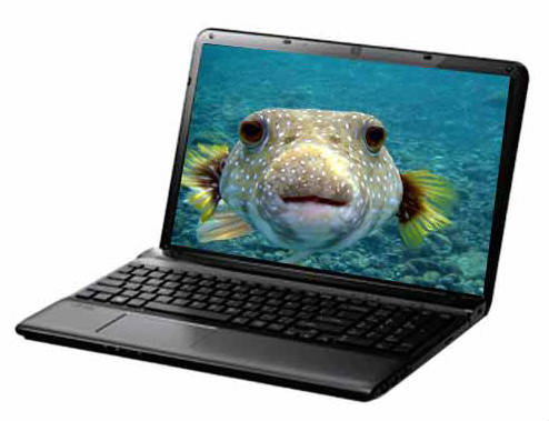Sony VAIO E1513BYN Laptop (Core i3 3rd Gen/2 GB/500 GB/Linux/1)