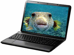 Sony VAIO E1513BYN Laptop (Core i3 3rd Gen/2 GB/500 GB/Linux/1)