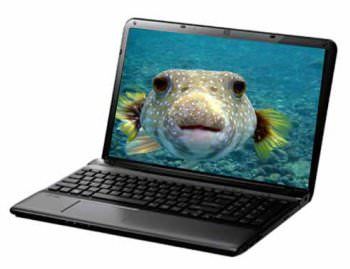Sony VAIO E1513BYN Laptop  (Core i3 3rd Gen/2 GB/500 GB/Linux)