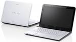 Sony SVE14113EN (Core i5 2nd Gen/4 GB/500 GB/Windows 7/1 GB)