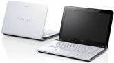 Sony VAIO E SVE14113EN Laptop (Core i5 2nd Gen/4 GB/500 GB/Windows 7/1)