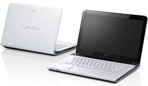 Sony VAIO E SVE14123CN Laptop (Core i3 3rd Gen/2 GB/500 GB/Windows 8)