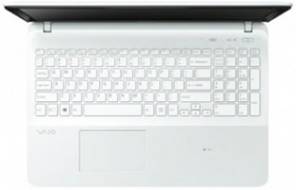 Sony VAIO Fit SVF15213W Laptop (Core i3 3rd Gen/4 GB/500 GB/Windows 8)