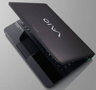 Sony VAIO E VPCEA4BGN Laptop (Core i3 1st Gen/2 GB/320 GB/Windows 7)