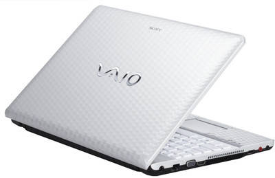 Sony VAIO E VPCEG35EN Laptop (Core i3 2nd Gen/2 GB/320 GB/Windows 7)