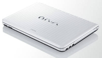 Sony VAIO E VPCEG35EN Laptop (Core i3 2nd Gen/2 GB/320 GB/Windows 7)